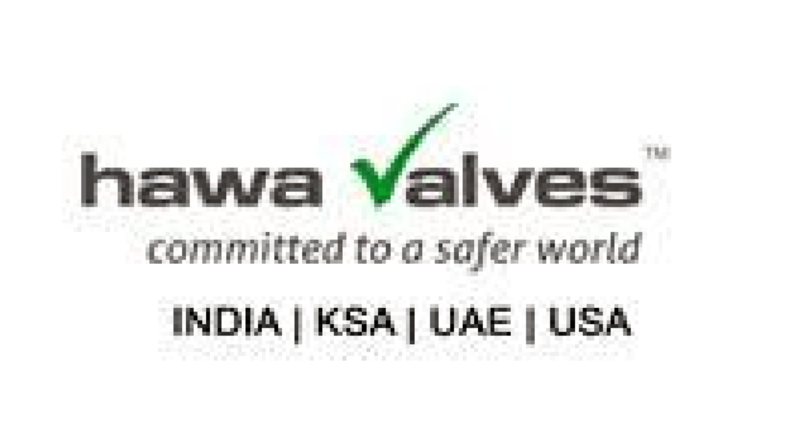 Hava Valves